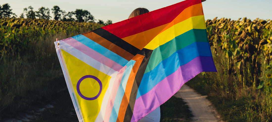 Unpacking the Rainbow Spectrum: A Guide to Pride Flags (Part 1)